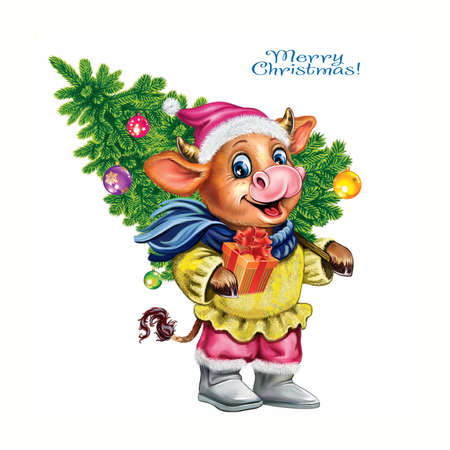 funny bull in Santa hat, sweater and scarf with Christmas tree, Merry Christmas and Happy New Year greeting card, isolated image on white backgroundの写真素材