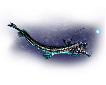 The viperfish (Chauliodus), deep sea predator fish realistic drawing illustration for the encyclopedia of the inhabitants of the seas and oceans, isolated image on a white backgroundの写真素材