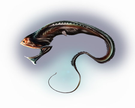 deep-sea fish Saccopharynx ampullaceus, inhabitant of the dark oceanic depths, a monster that eats...
