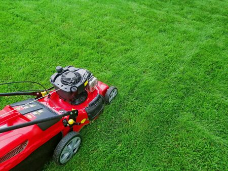 electric grass lawn mower on green grassの写真素材