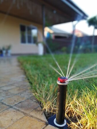 automatic irrigation system for the garden near the sidewalkの写真素材