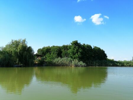 lake, nature on the shore and against the sky. summer sunny dayの写真素材