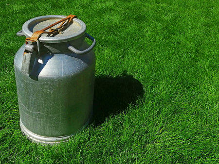 metal can for milk with a closed lid. in sunny weather on the grass. the idea is a healthy diet....