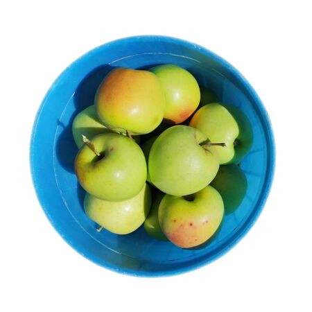 green golden apples in a blue bucket, top view. the idea is a crop. isolated on white background. square compositionの写真素材