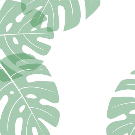 Monstera - tropical leaf on a white square background, place for textのイラスト素材