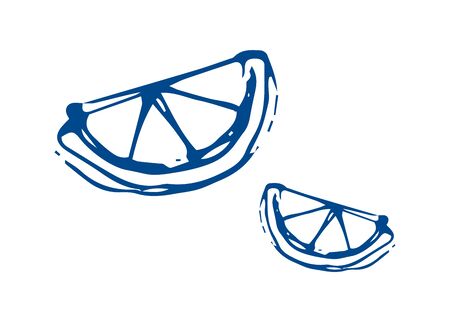 lemon - sketch. lime slices - illustration on a white background. fruits - hand drawing, doodle style.のイラスト素材