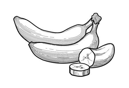Banana - black and white illustration of thin lines. bananas - a stylized drawing of fruit in a flat style. healthy eating. concept - packaging design, food design. vitaminsのイラスト素材