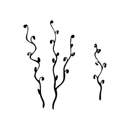 Doodle Twig - Illustration. Decorative wavy twigs of plants in doodle style. set of twisting twigs isolated on white background. spring plant in black.のイラスト素材