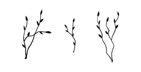 Doodle Twig - Illustration. decorative plant branches isolated on white background. spring plant in black.のイラスト素材