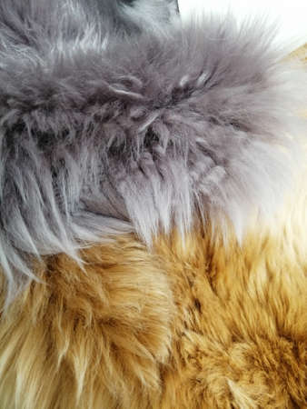 artificial fur. fur texture yellow and purpleの写真素材
