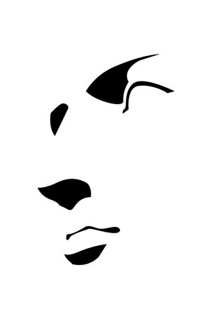 facial features - eyes, nose and lipsのイラスト素材