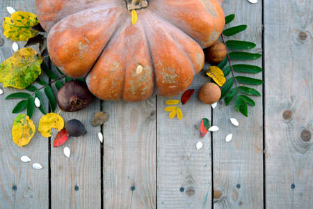 A pumpkin lies next to vegetables and leaves on a wooden background. Festive autumn decor for a Thanksgiving or Halloween card.の写真素材