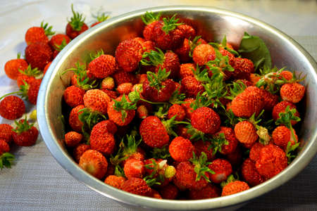 Ripe strawberries lie in a metal bowl.の写真素材