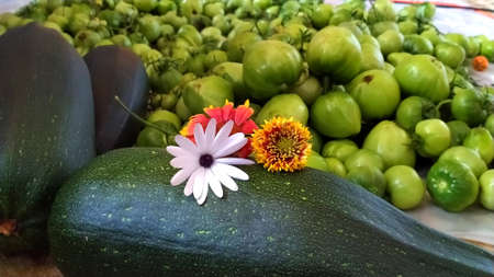 Harvesting zucchini and tomatoes in autumn. Fresh ripe vegetables are on the table.の写真素材