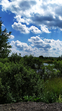 Landscape. Blue sky with white clouds over a pond and forest.