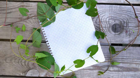 Blank paper on a wooden background in the leaves of loach. Floral background with empty place for text. Romantic natural postcard.の写真素材