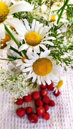 Chamomile and strawberry. A bouquet of wild flowers in a vase and whole strawberries.の写真素材