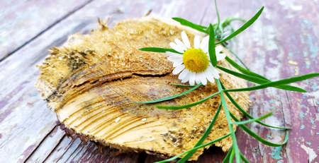 Chamomile on a wooden block. Wild flower chamomile lies on a wooden cut.の写真素材