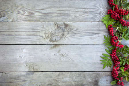 Autumn natural background. Rowan branches with berries and leaves lie on the boards. Wooden background for writing text. Autumn composition. Flat lay, top view, copy space.の写真素材