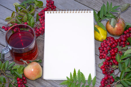 Notepad with white blank sheet for text. Cup of tea, rowan and apples top view. Blank sheet, berries...
