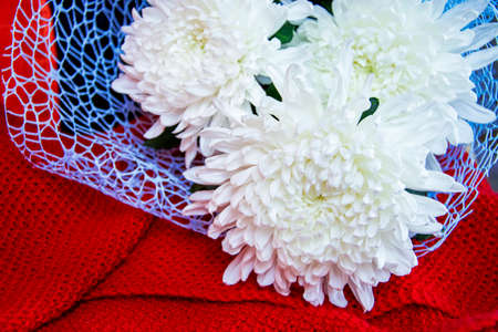 Asters. Bouquet of flowers. Flowers close-up.の写真素材