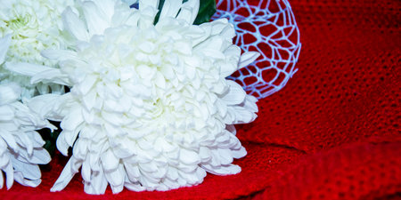White flowers in a bouquet on a red background.の写真素材