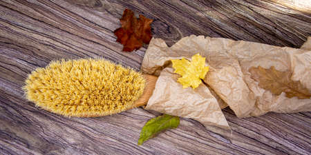 Body brush. Hygienic accessories for baths and spa treatments.の写真素材