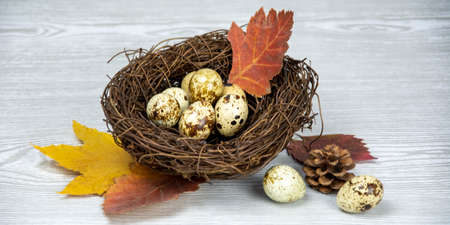 ostcard Happy Easter. Easter eggs, feathers in a nest on a light wooden background. spring composition. minimal concept.の写真素材