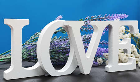 wooden letters. Word LOVE in flowers.の写真素材