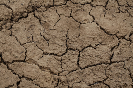 Brown dry earth. Cracks Close up natural background. Drought.