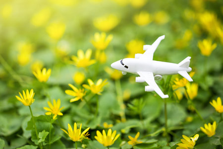 White airplane model on flower fresh green leaves background. Sustainable travel. Clean and green...