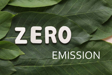 Green environmental background with leaf, wooden letters Zero Emissionの写真素材