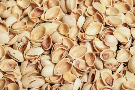 Pistachio shells. Compost or mulch them for your gardenの写真素材