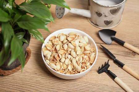 Pistachio Shells. Gardening. Mulching Soilの写真素材