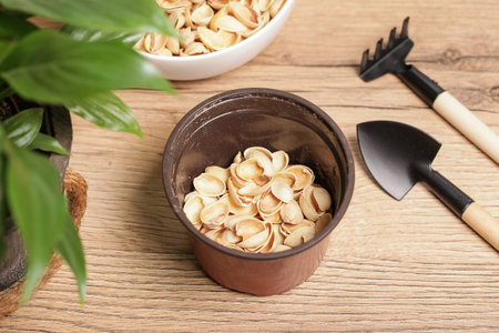 Pistachio Shells. Gardening. Drainage, Mulching Soil