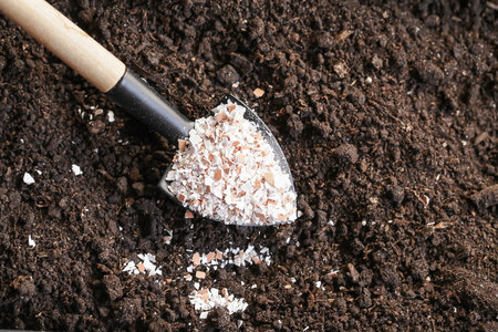 Fertilizer for Soil Eggshells. Organic waste, Bio Compost waste recycling. Selective Focusの写真素材