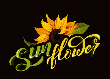 Sunflower vector clip art with hand lettering sign calligraphy flower name yellow autumn botany illustrationsのイラスト素材