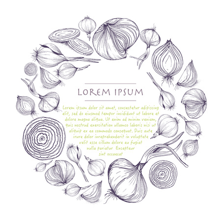 Vector vegetable wreath with purple onions circle template for social media and greeting cardのイラスト素材