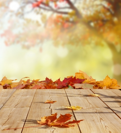 autumn backgroundの写真素材