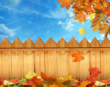 autumn background with fence の写真素材