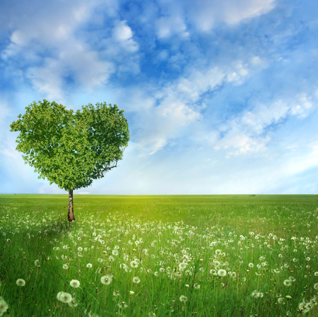 Tree of love Tree of love