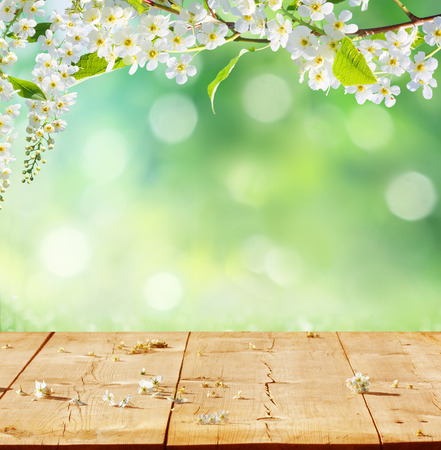 spring background with wooden planks