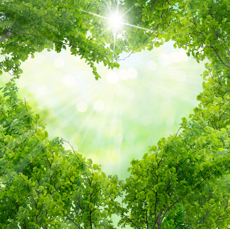 Green leaves in heart shape Green leaves in heart shape