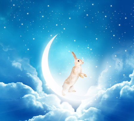 ?hinese mid-autumn festival background with rabbit, moon and clouds.の写真素材