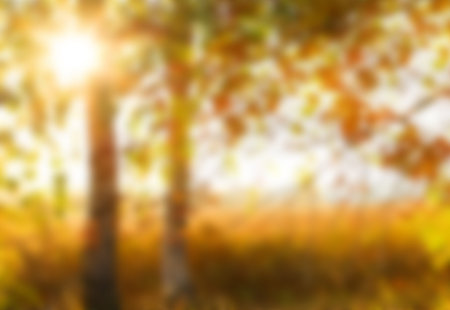 Abstract blurred autumn background.の写真素材