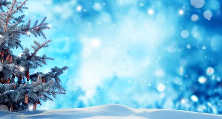 Winter  background .Merry Christmas and happy New Year greeting card with copy-space. Christmas landscape with snow and fir treeの写真素材