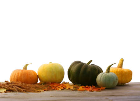 Pumpkins and maple leaves isolated on white background.Harvest or Thanksgiving tableの写真素材