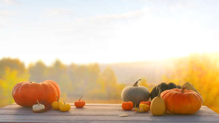 Autumn background with maple leaves and pumpkins.Harvest or Thanksgiving backgroundの写真素材
