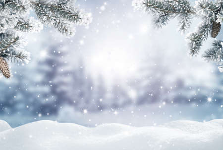 Merry Christmas and happy new year greeting card. Winter landscape with snow .Christmas background with fir tree branch and conesの写真素材