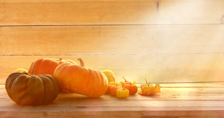 Autumn background with maple leaves and pumpkins.Harvest or Thanksgiving backgroundの写真素材